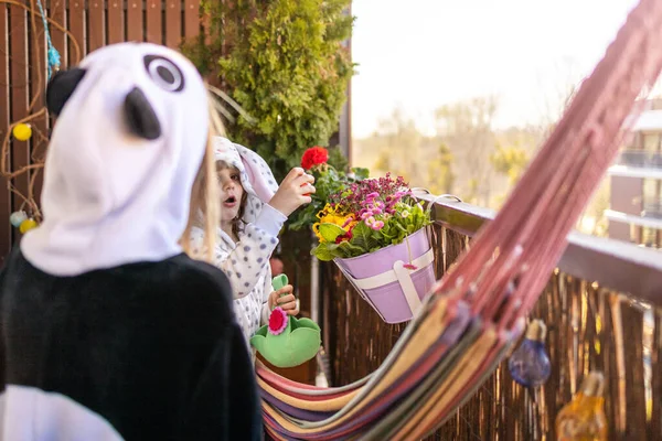 Påskägg Jakt Balkong — Stockfoto