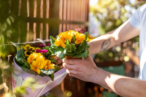 Joven Cuidando Sus Plantas Balcón —  Fotos de Stock