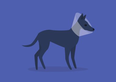 Koruyucu tasma takan iyileşmekte olan bir köpek. Veterinerlik sorunları.