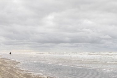 Koksijde, Belçika - 26 Şubat 2020: Soğuk ve rüzgarlı bir günde sahilde yalnız bir at binicisi