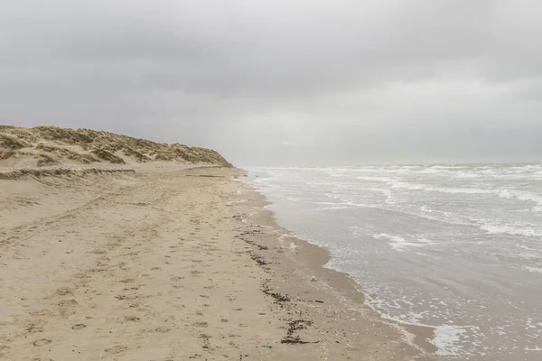 Koksijde, Belgie - 26. února 2020: Pláž v chladném a větrném dni v zimě — Stock fotografie