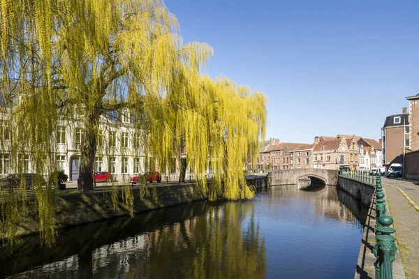 Gent, Belçika - 25 Mart 2020: Tarihi Prinsenhof mahallesindeki Lievekaai 'de ağlayan söğütler 