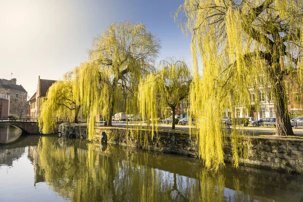 Gent, Belçika - 25 Mart 2020: Tarihi Prinsenhof mahallesindeki Lievekaai 'de ağlayan söğütler — Stok fotoğraf