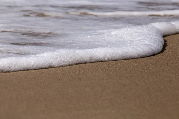 tropik sahilde dalgalar deniz