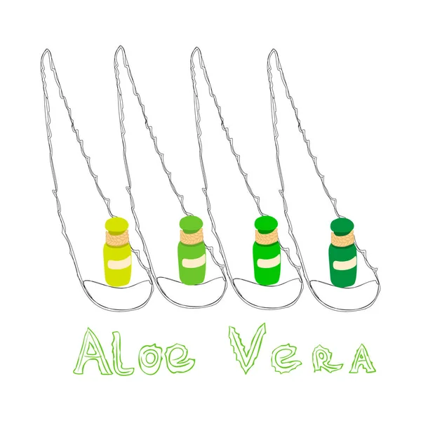 Aloe vera peaces avec du jus d'aloe vera en bouteilles — Image vectorielle