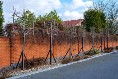 Tuğla sütunlu ve sarmaşıklı dekoratif kırmızı tuğla çit