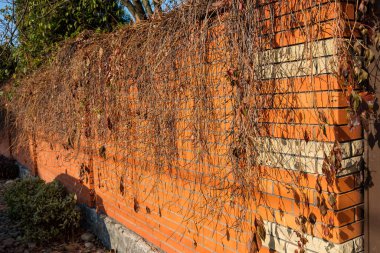 Tuğla sütunlu ve sarmaşıklı dekoratif kırmızı tuğla çit