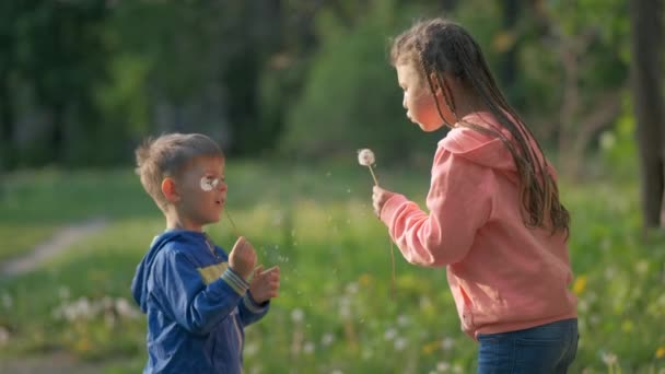 Ein Kleiner Junge Und Ein Mädchen Blasen Frühling Auf Einen — Stockvideo