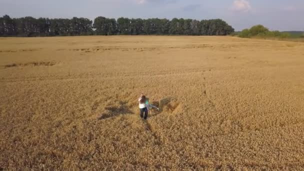 Тато Крутить Свою Маленьку Дочку Пшеничному Полі Верхній Вид Стрілянина — стокове відео