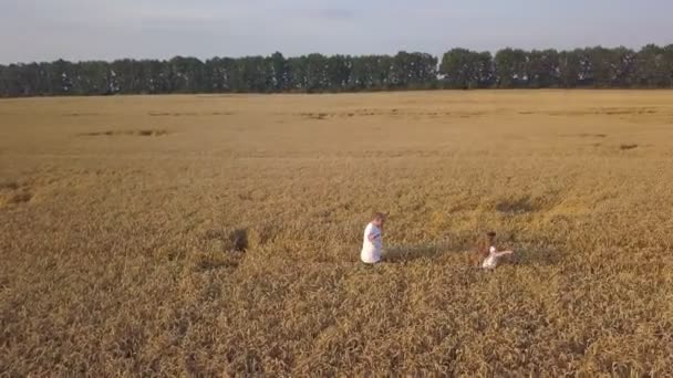Vater Und Tochter Laufen Glücklich Durch Ein Weizenfeld Draufsicht Aufnahme — Stockvideo