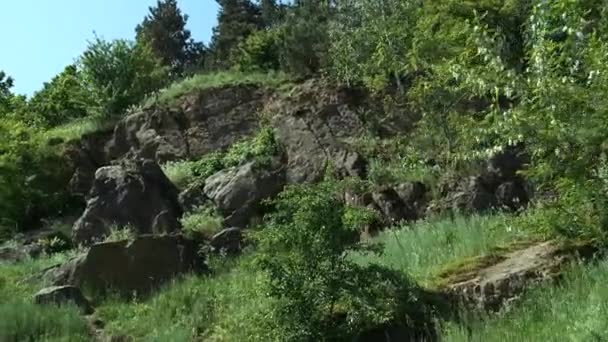 Petites montagnes avec herbe verte et arbres par une journée ensoleillée d'été. mouvement de caméra .
