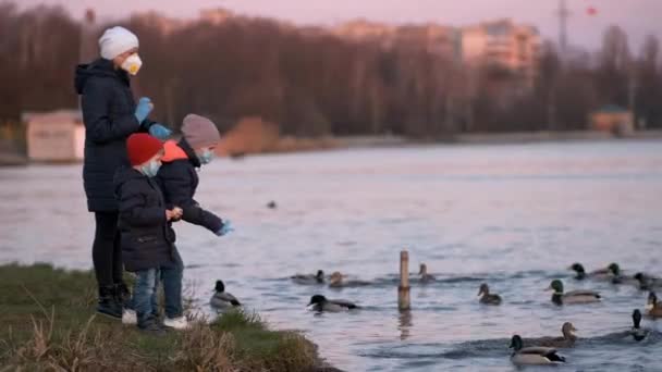 Mother Son Daughter Medical Masks Feed Ducks Park Lake Concept — Stock Video