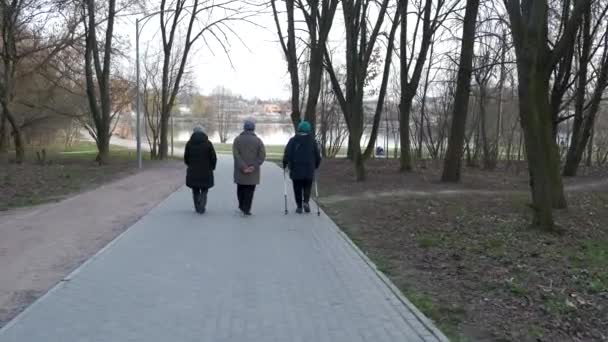 Äldre Äldre Kvinnor Som Tränar Nordic Walking Utomhus Hälsosam Livsstil — Stockvideo