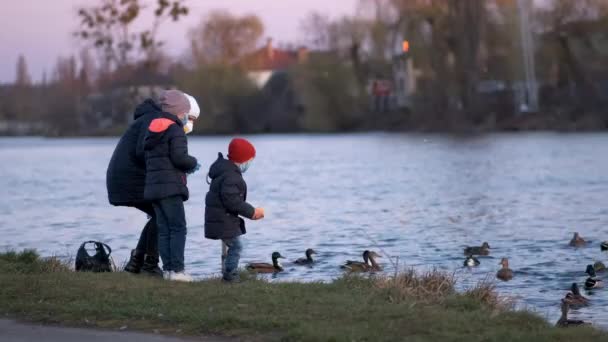 Madre Hijo Hija Con Máscaras Médicas Alimentan Patos Parque Lago — Vídeos de Stock