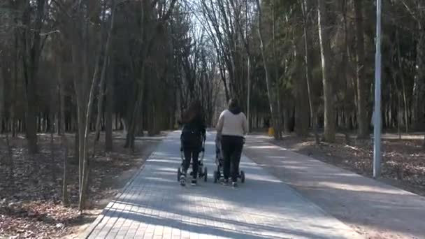 Deux Mères Avec Des Poussettes Marchent Dans Parc Printemps Avec — Video
