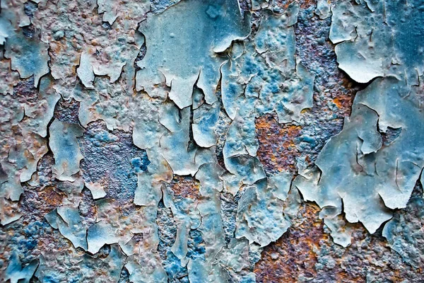 Rusty background. A rusty old metal plate with cracked blue gloss paint.