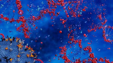 Virüs insan DNA zincirini yok eder. Genom yapısı.