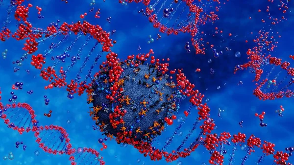 virus destroys human dna chain. Genome structure.