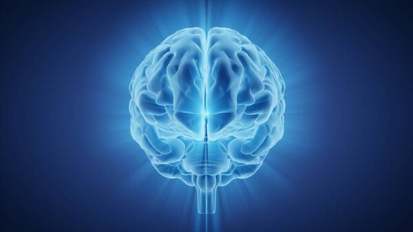 3D рендеринг человеческого мозга со свёртками и сиянием света
