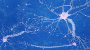 Sinapslar ve aksonlarla beyin nöronlarını oluştur