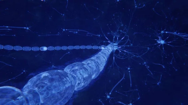 3d καθιστούν νευρώνες του εγκεφάλου με συνάψεις και άξονες — Φωτογραφία Αρχείου