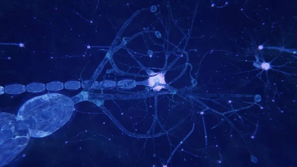 3d renderizar neuronas cerebrales con sinapsis y axones —  Fotos de Stock