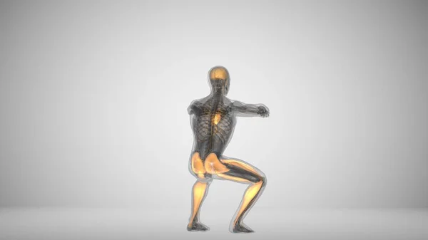 3D bir adam arka ışıklandırma kaslarıyla çömelme hareketi yapıyor. — Stok fotoğraf
