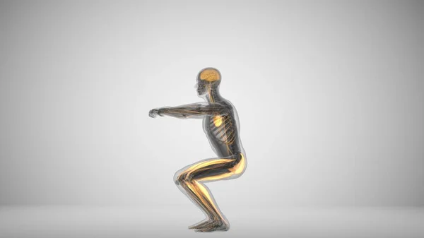 3d rendu d'un homme faisant squats avec des muscles de rétro-éclairage — Photo