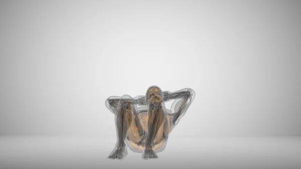 3D візуалізація вправи на прес з м'язовим освітленням — стокове фото