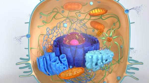 3D-Darstellung von Körperzellen. 3D-Abbildung Zellmodell. — Stockfoto