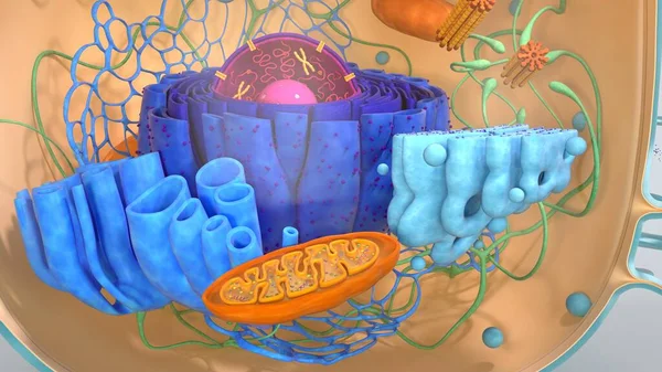 3D рендеринг клеток тела. Моделирование 3D-ячеек . — стоковое фото