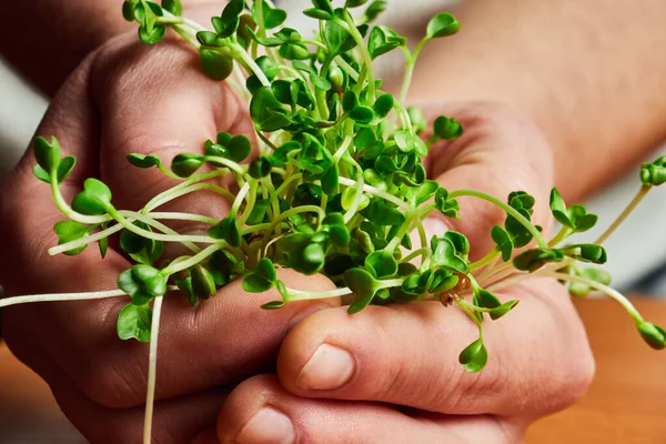 woman holds in her hands and cuts micro-greens, micro-greens on her head