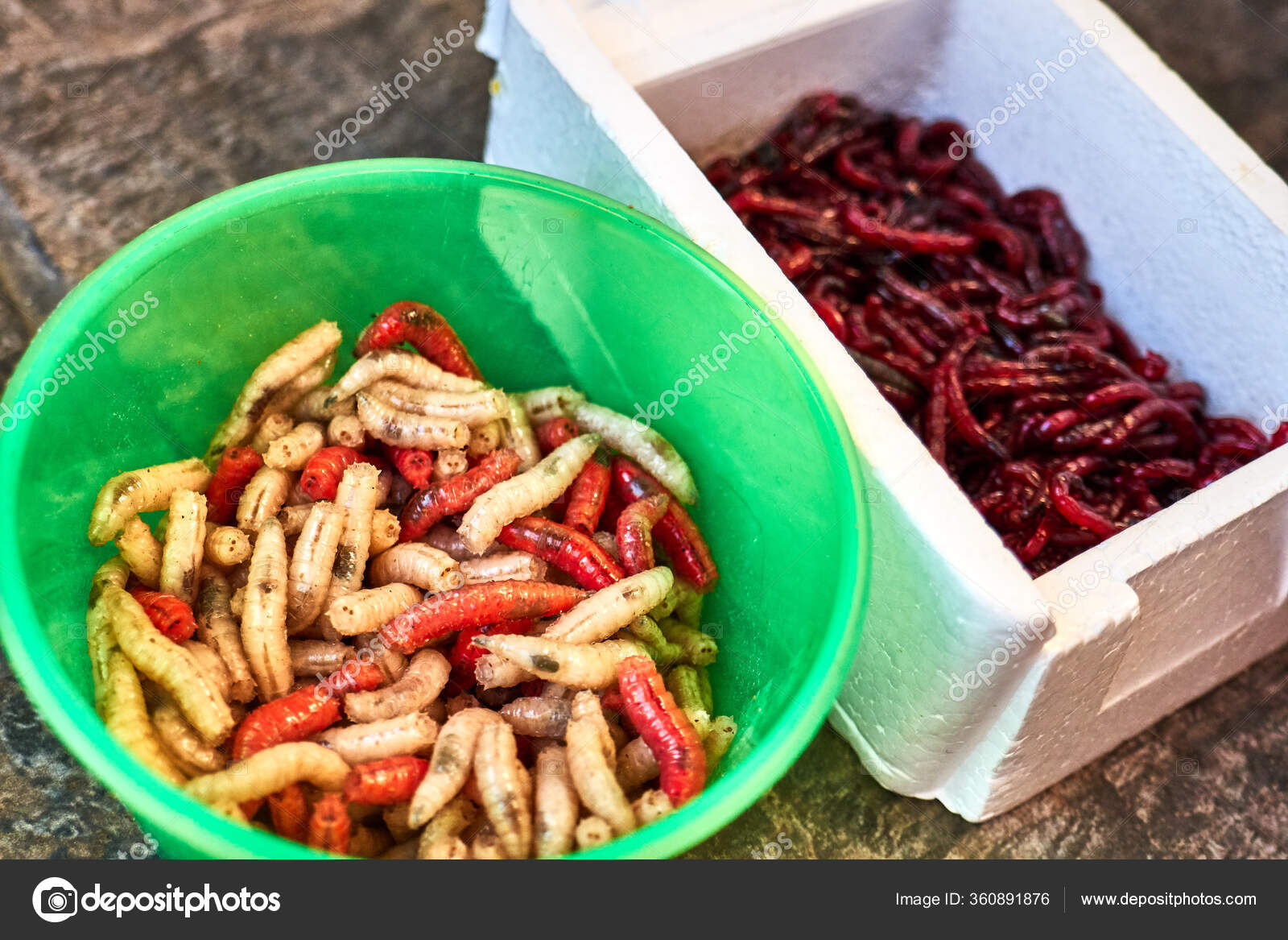 Bloodworms Maggots Fishing Container Stock Photo by ©NahomaLand 360891876