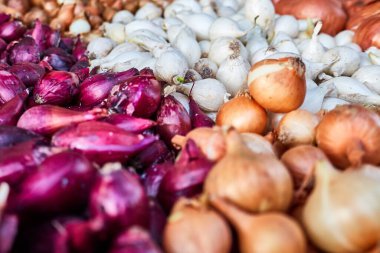 Çok çeşitli soğanlar yakın çekim için.