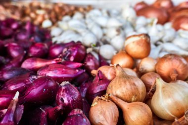 Çok çeşitli soğanlar yakın çekim için.