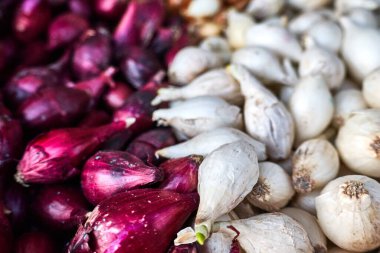 Çok çeşitli soğanlar yakın çekim için.