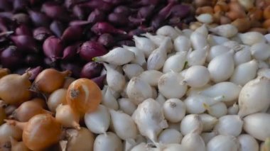 Çok çeşitli soğanlar yakın çekim için.