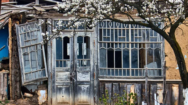 Casa Campo Ruinas Abandonada Árbol Con Flores —  Fotos de Stock