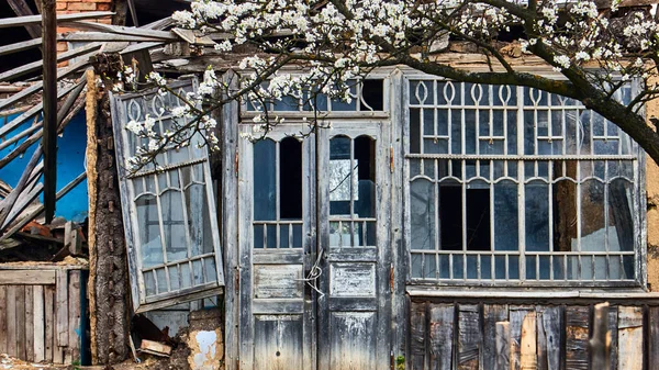 Casa Campo Ruinas Abandonada Árbol Con Flores —  Fotos de Stock