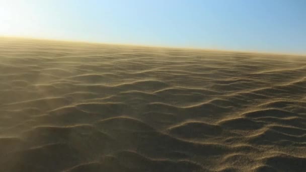 Szél fúj egy sivatagi homokos dűne — Stock videók