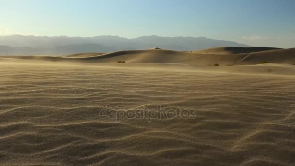 Wind waait over mesquite platte zandduinen — Stockvideo