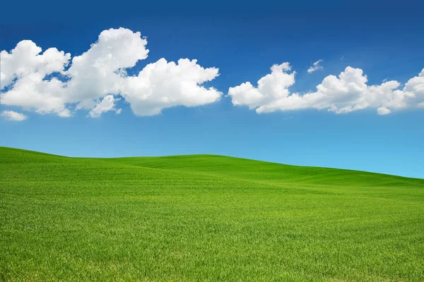 Green meadow under a spring sky with white cloud — Stock Photo, Image
