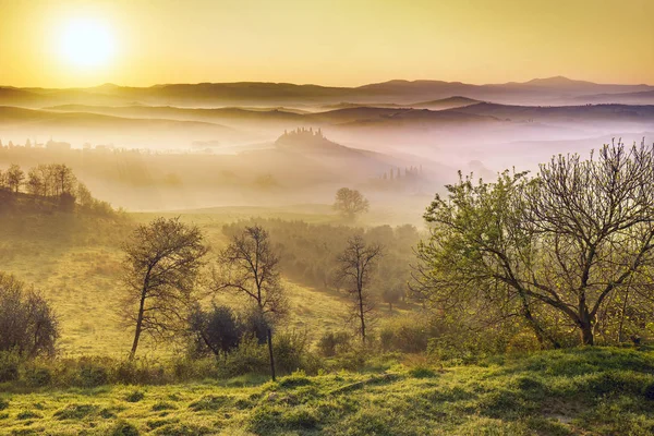 Begin van een mistige ochtend in de vallei van Orcia — Stockfoto