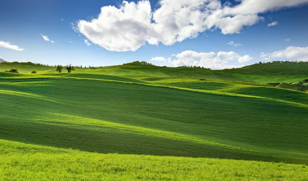 Vista panorámica de colinas onduladas en Toscana —  Fotos de Stock