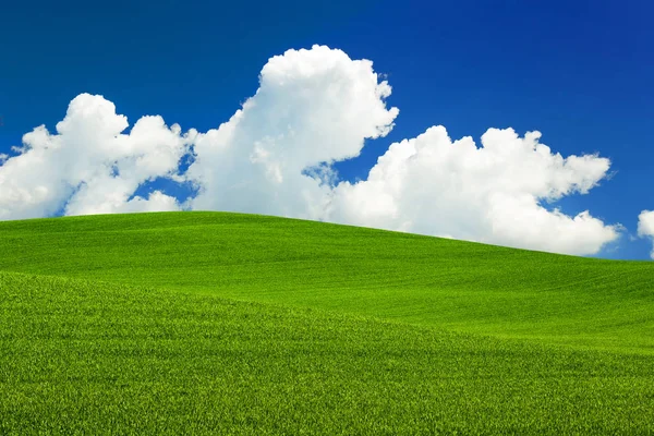 Valkoiset pilvet ja sininen taivas vihreän niityn yllä maaseudulla — kuvapankkivalokuva