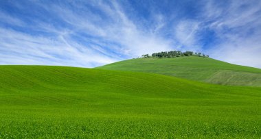parlak yeşil çim alan Toskana tepeler haddeleme