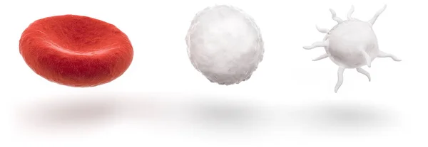 Globules sanguins isolés sur fond blanc, illustration 3D — Photo