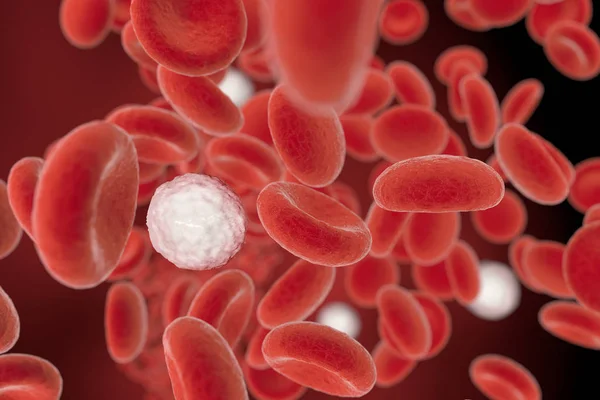 Білі кров'яні клітини в кровотік, 3D ілюстрація — стокове фото