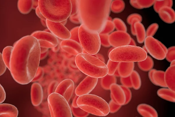 Red blood cells flowing in a vessel, 3D illustration — Stock Photo, Image