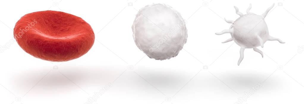 blood cells isolated on white background, 3D illustration
